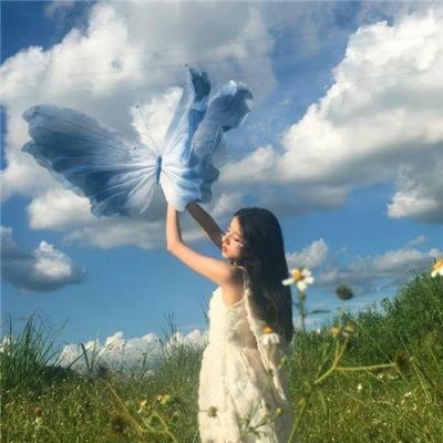 蚊子海岸